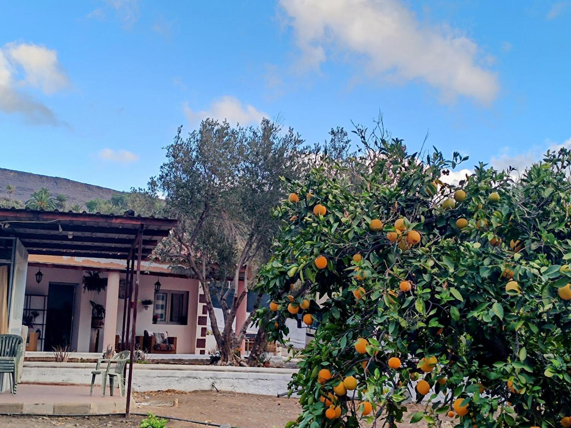 La Casa De La Pradera Villa Santa Lucia De Tirajana Bagian luar foto